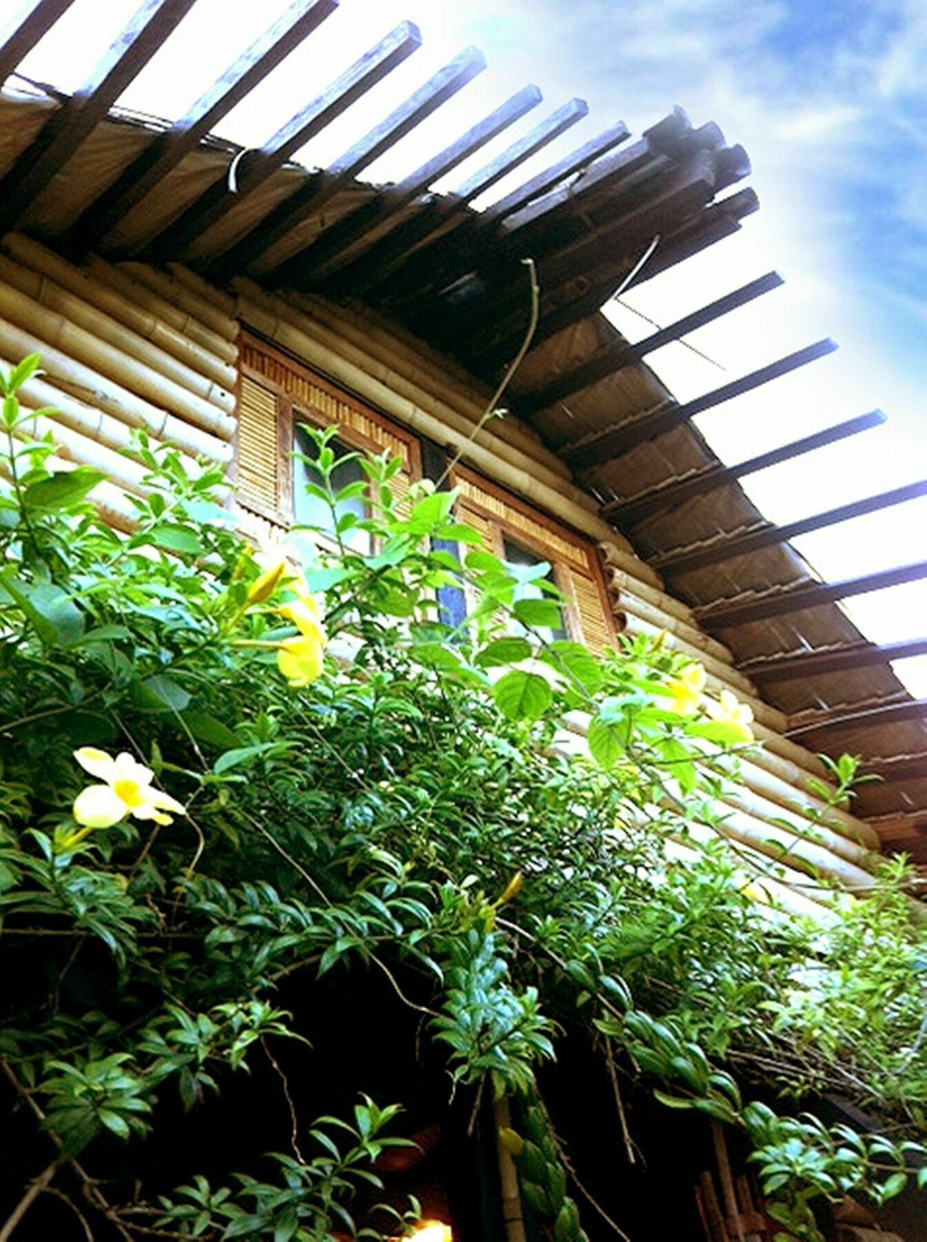 The Village House Puerto Princesa Bagian luar foto